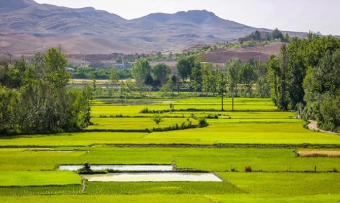 ثبت شرکت در لنجان ثبت شرکت در لنجان